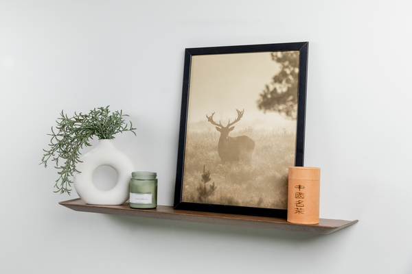 Vesta Shelf
